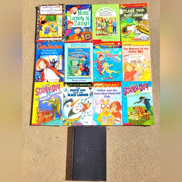 Young Reader Chapter Books - Picture 1 of 3
